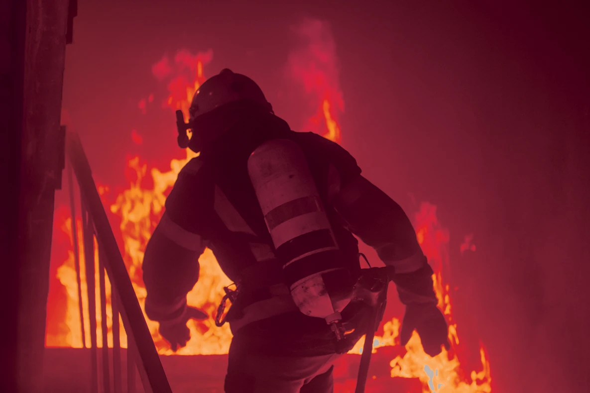 Fire Rated Security Door
